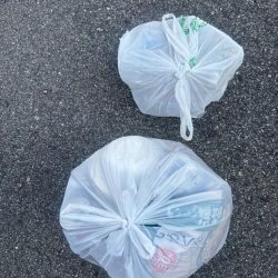 清掃活動：残暑残る中チヌさん好調です