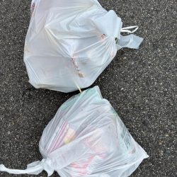 清掃活動：エビ撒きでグレ釣れてます