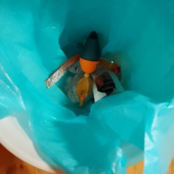 清掃活動：キス釣り