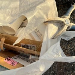 清掃活動：ジグサビキ　36