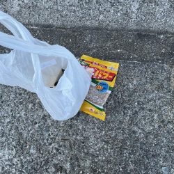 清掃活動：渋い日①