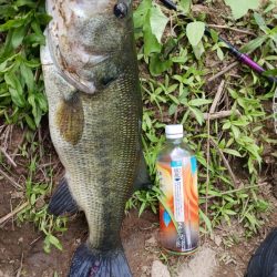 久々のデカバスゲット！！