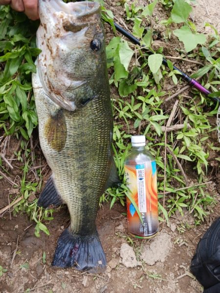 久々のデカバスゲット！！