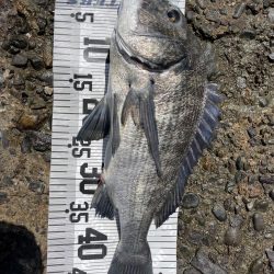 イチノ兄弟、釣果!