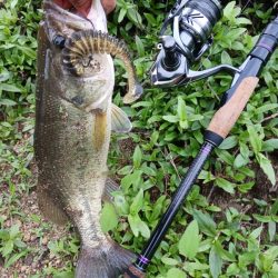 久々のデカバスゲット！！