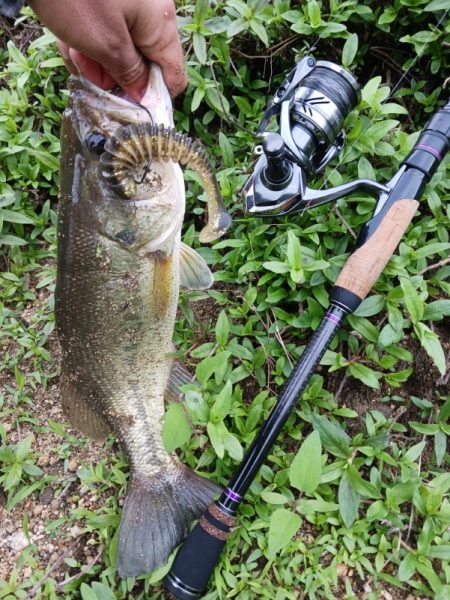 久々のデカバスゲット！！