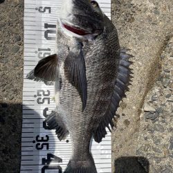 イチノ兄弟、釣果!