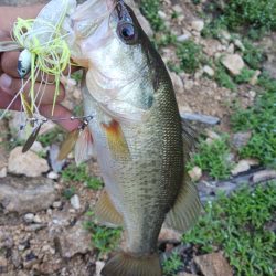 久々のデカバスゲット！！