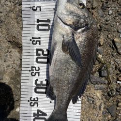 イチノ兄弟、釣果!