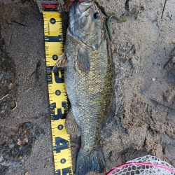 宇治川上流でスモール連発！！