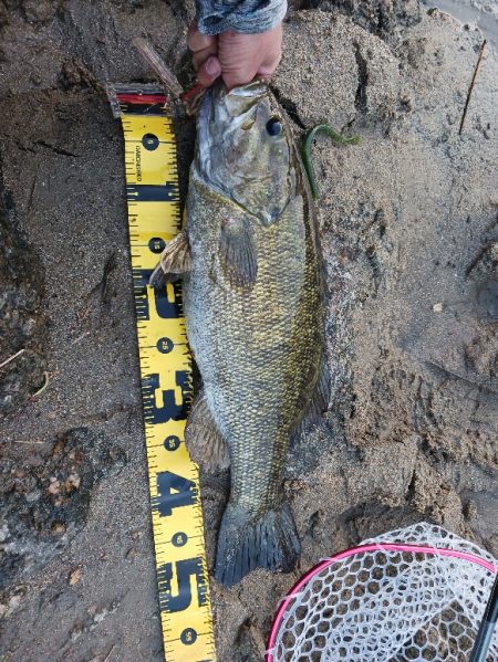 宇治川上流でスモール連発！！