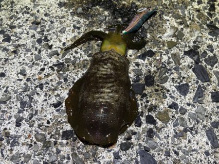 荒波と激渋で厳しかった！