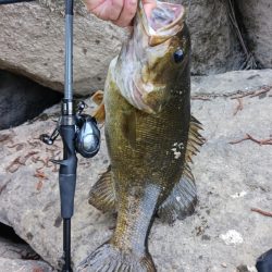 宇治川上流でスモール連発！！