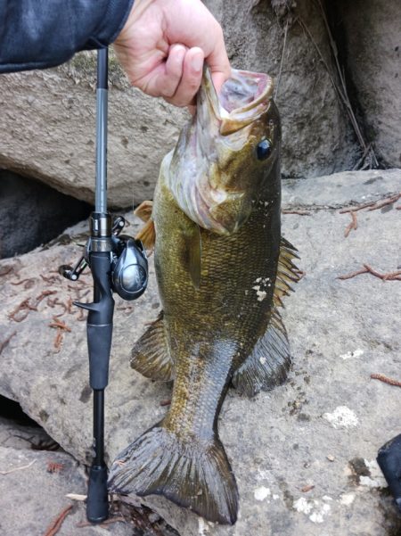 宇治川上流でスモール連発！！