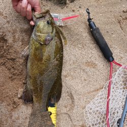 宇治川上流でスモール連発！！