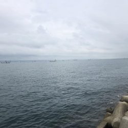 夜明けからずっとサゴシ