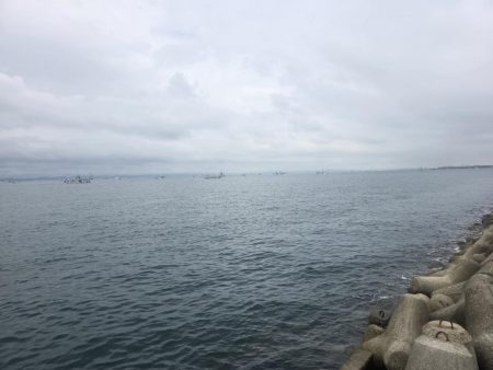 夜明けからずっとサゴシ