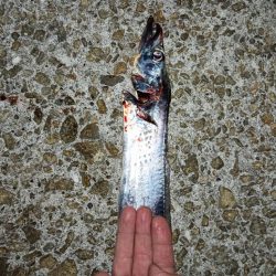 シーズン終盤…　渋かったです