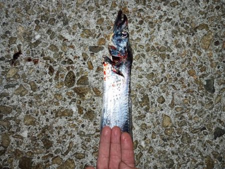 シーズン終盤…　渋かったです