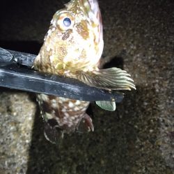 今日は調子悪いねぇ