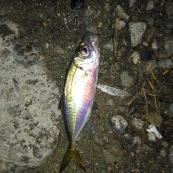 不調の原因がわかった！