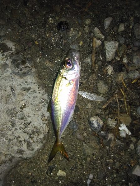 不調の原因がわかった！