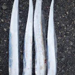 結構渋めでした