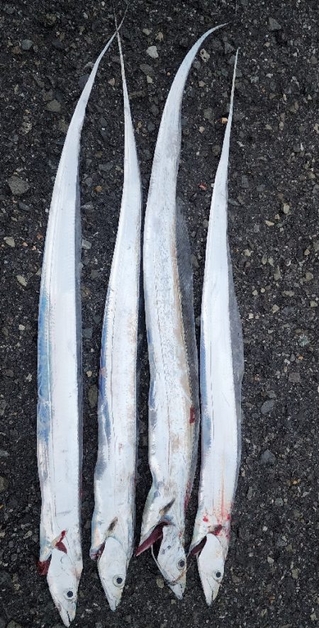 結構渋めでした