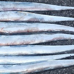 前回よりは調子↑