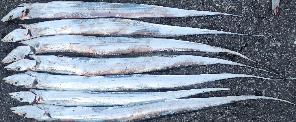 前回よりは調子↑