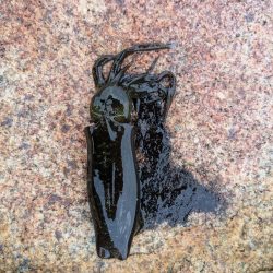 エギングとフロートリグ