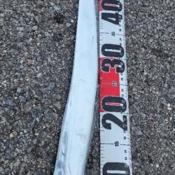 肌寒い中、残念賞