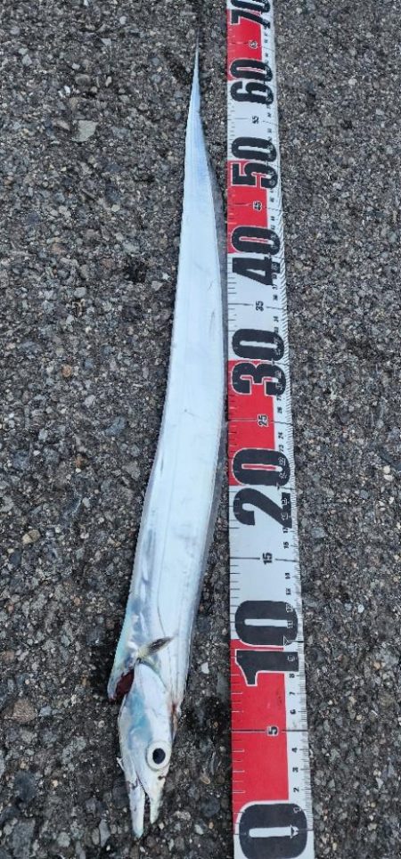 肌寒い中、残念賞