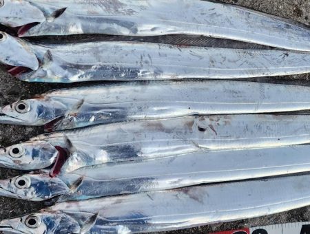 かなりお寒いです