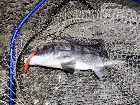 本命じゃないけど…