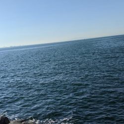 秋晴れの昼下がり