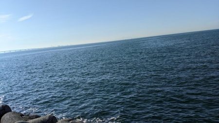 秋晴れの昼下がり