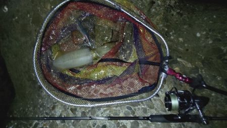 軍艦、強いよ！