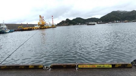 サゴシ活性高し。