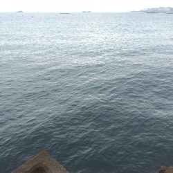 数だけは伸びた。