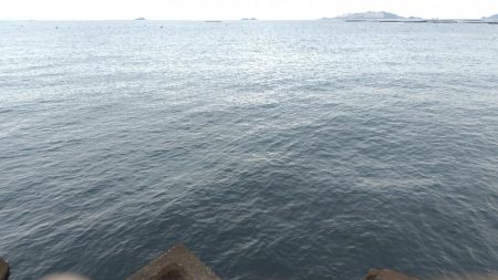 数だけは伸びた。