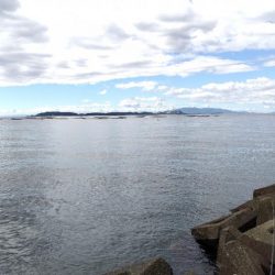 サイズが・・・