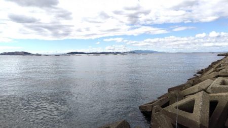 サイズが・・・