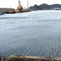 アジはいません