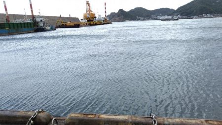 アジはいません