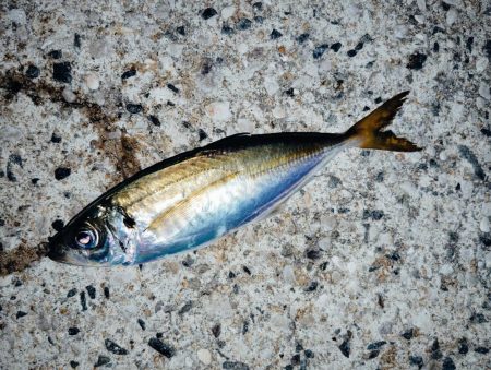 下り坂転がり中