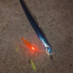 電気ウキ釣り 15