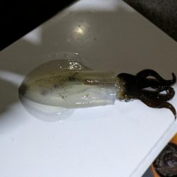 大分厳しくなってきた