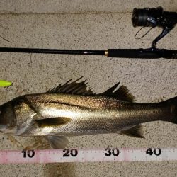 イナッコパターン攻略！