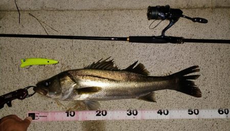 イナッコパターン攻略！